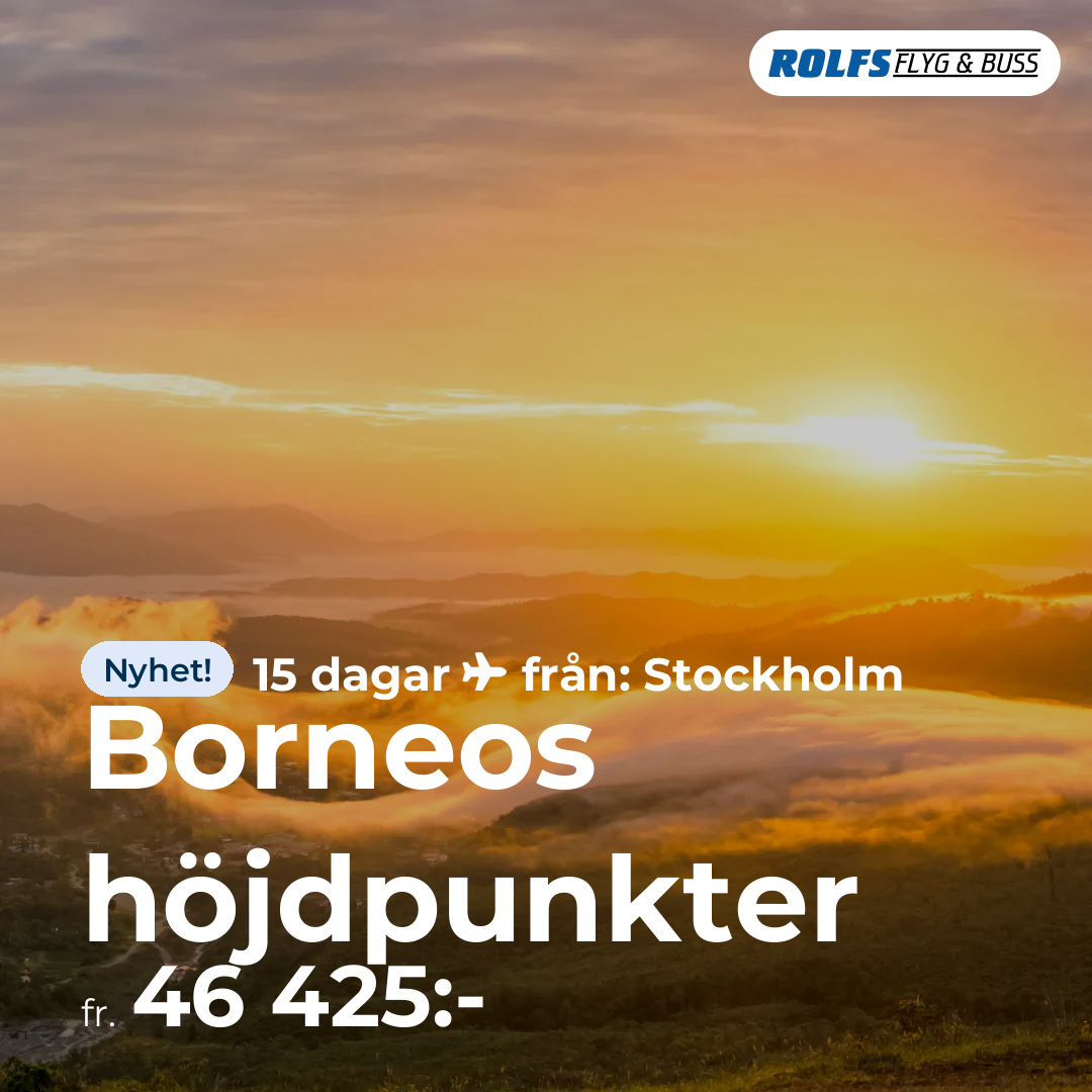 Borneos höjdpunkter