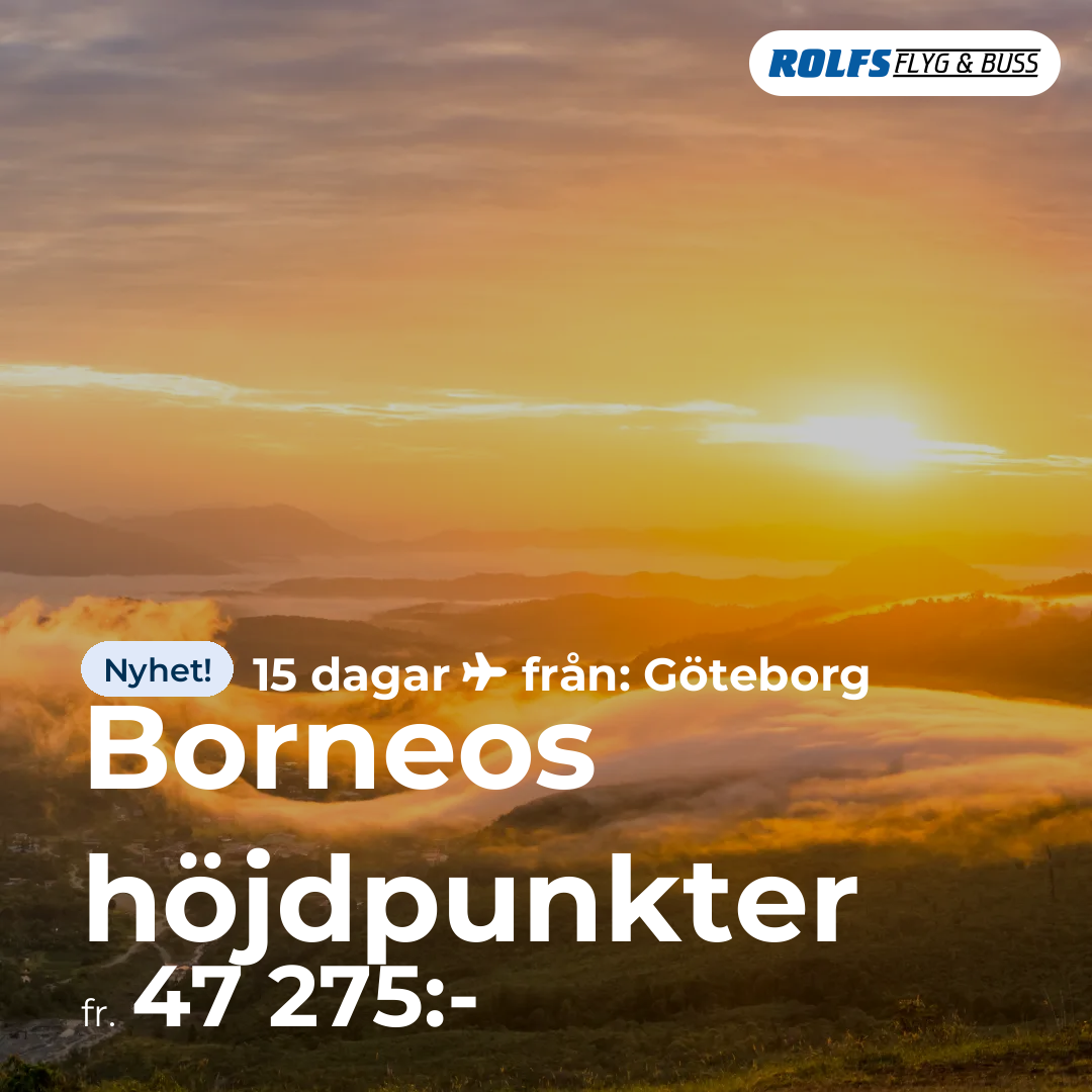 Borneos höjdpunkter