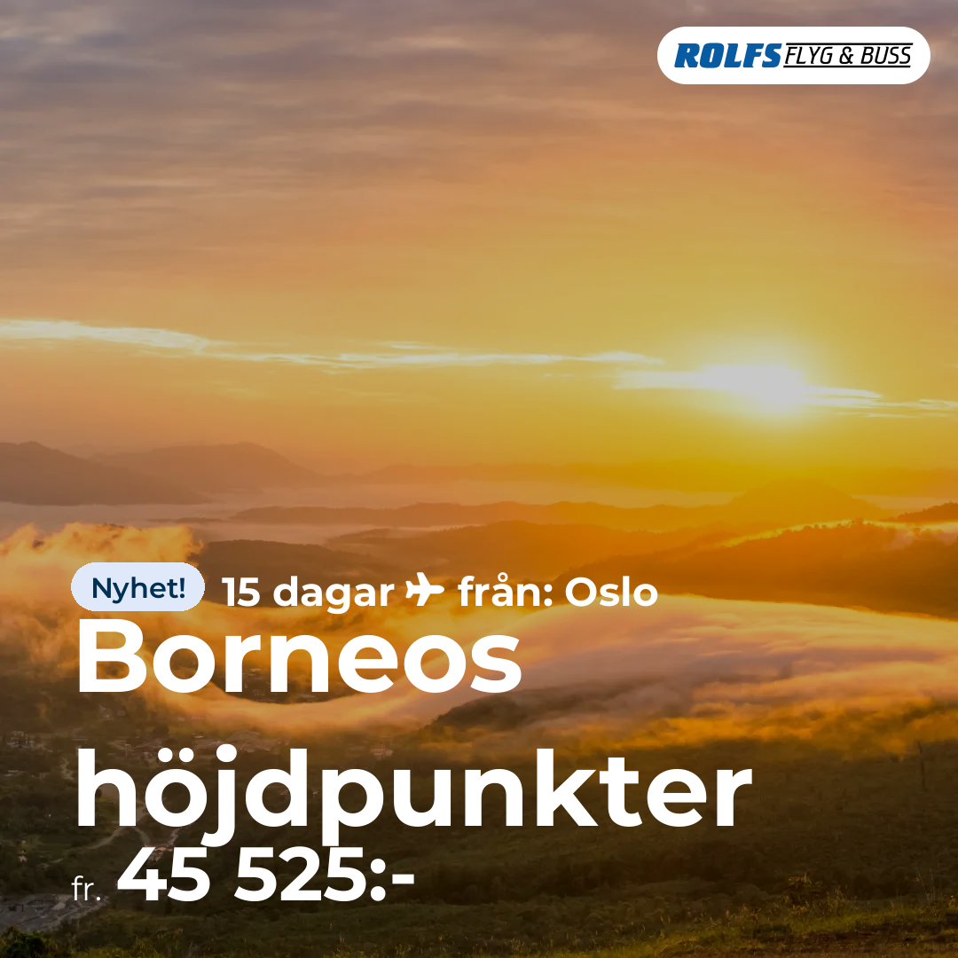 Borneos höjdpunkter