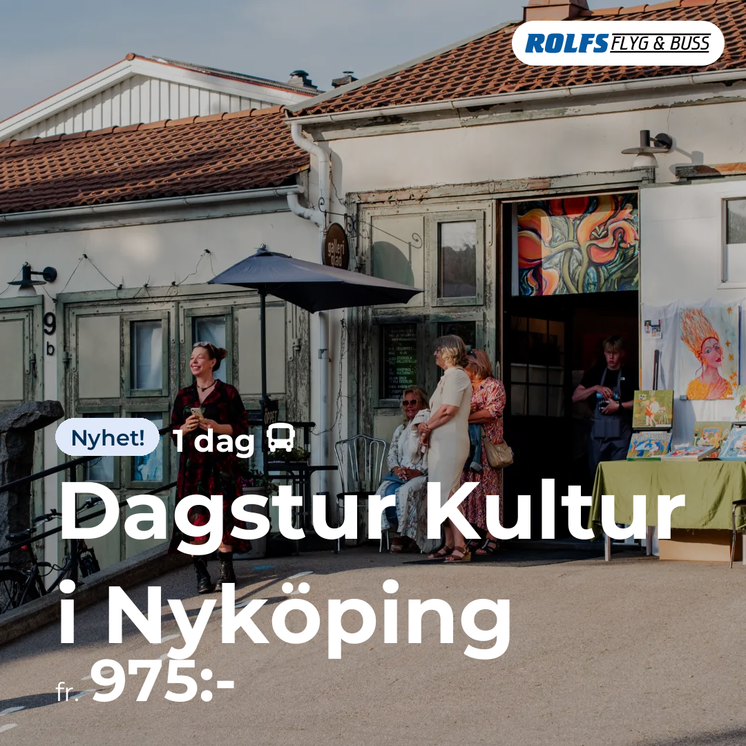 Dagstur Kultur i Nyköping