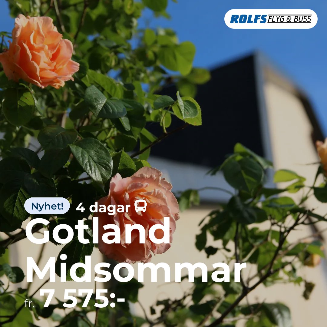 Gotland Midsommar - 4 dagar