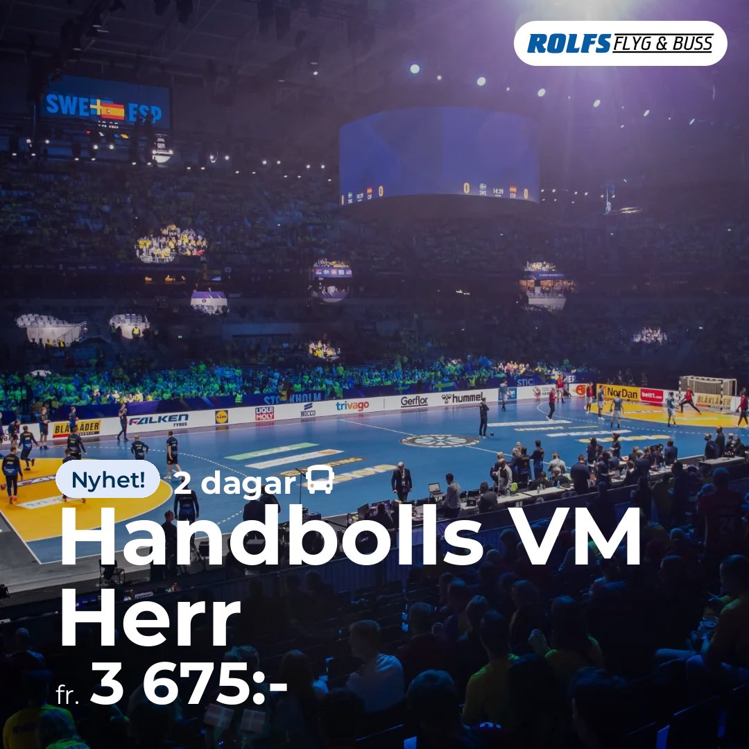 Handbolls VM Herr