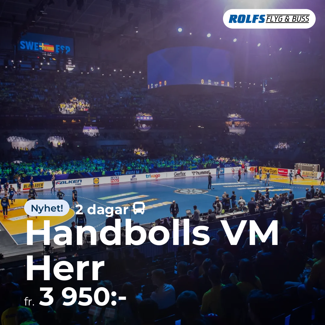 Handbolls VM Herr