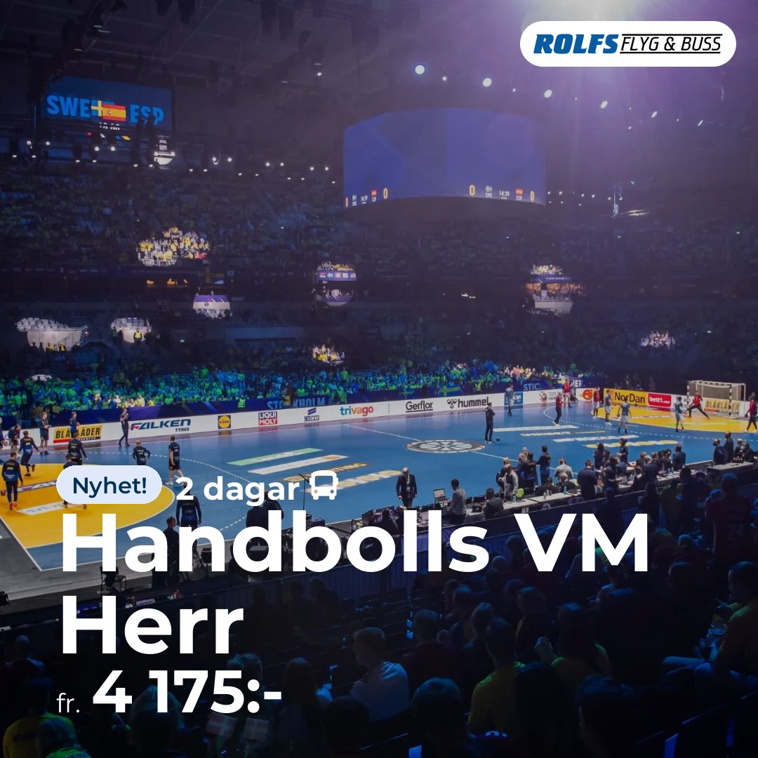 Handbolls VM Herr