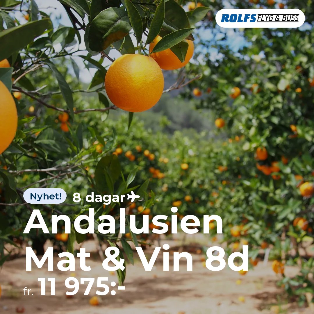Andalusien Mat & Vin 8d