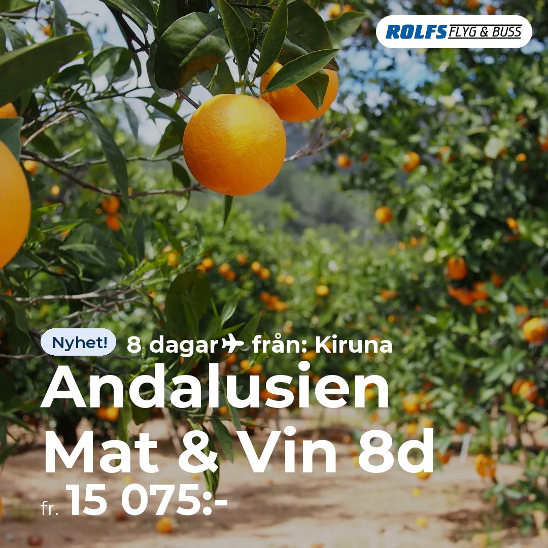 Andalusien Mat & Vin 8d