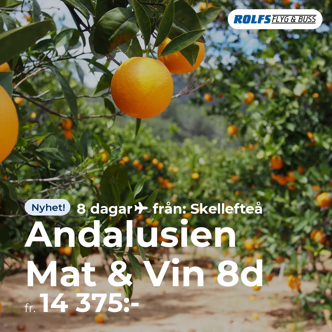 Andalusien Mat & Vin 8d