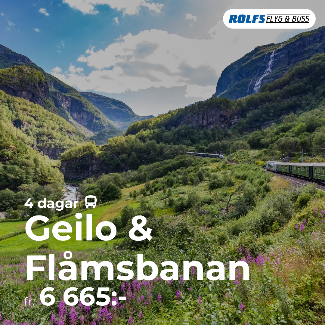 Geilo & Flåmsbanan - 4 dagar