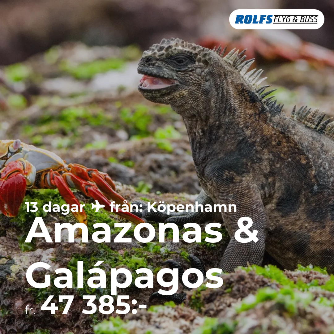 Amazonas & Galápagos