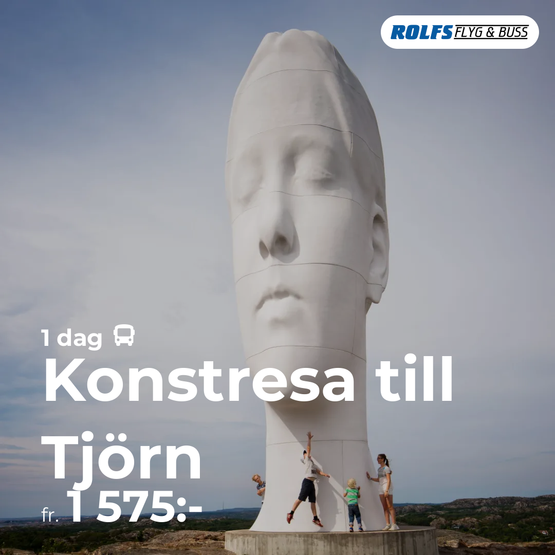 Konstresa till Tjörn
