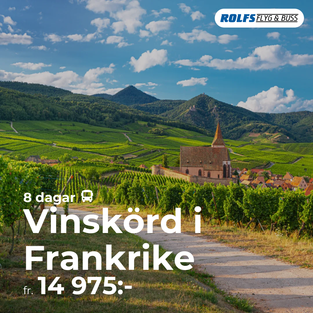 Vinskörd i Frankrike