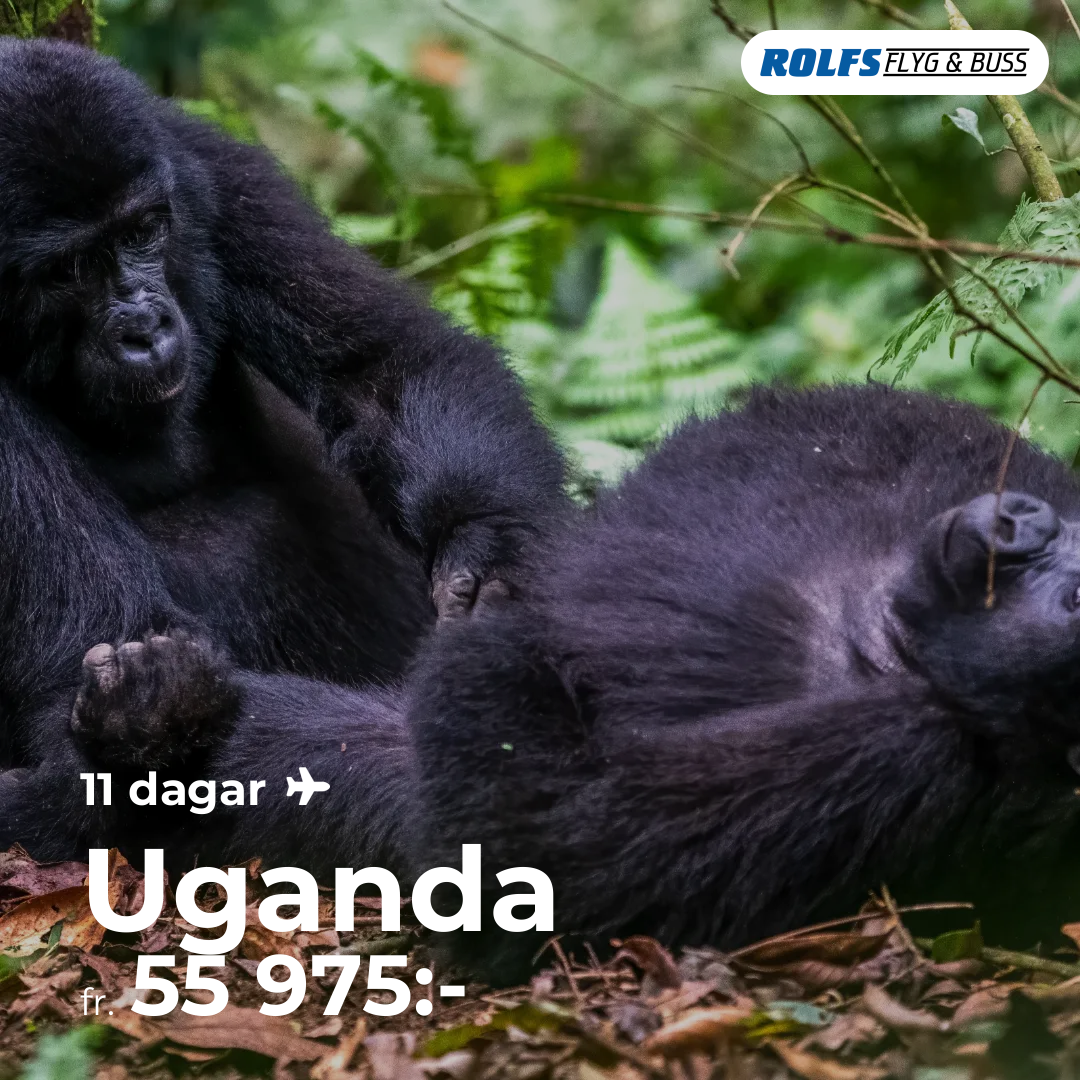 Uganda