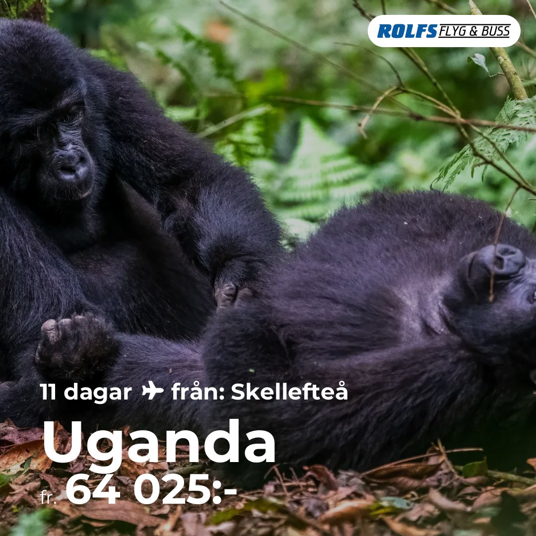 Uganda
