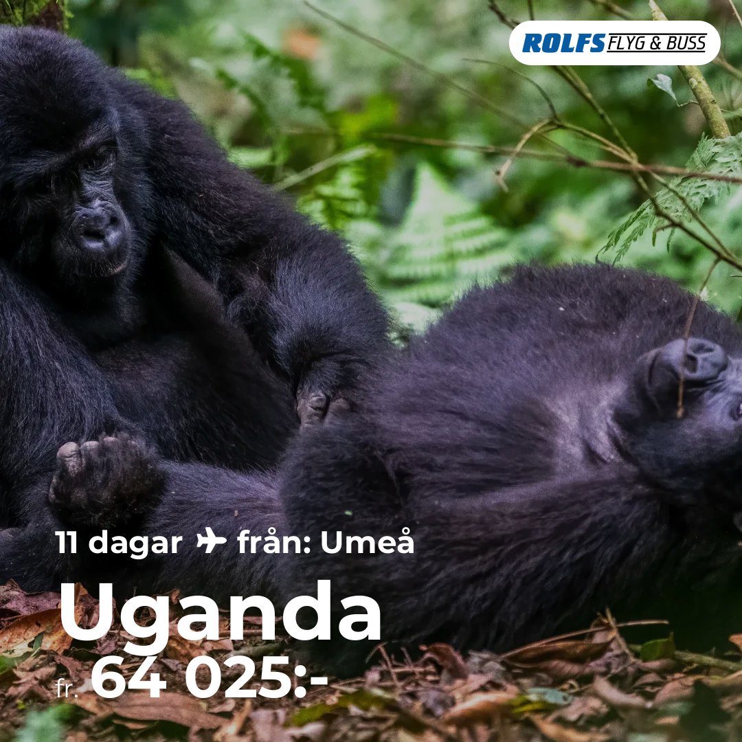 Uganda