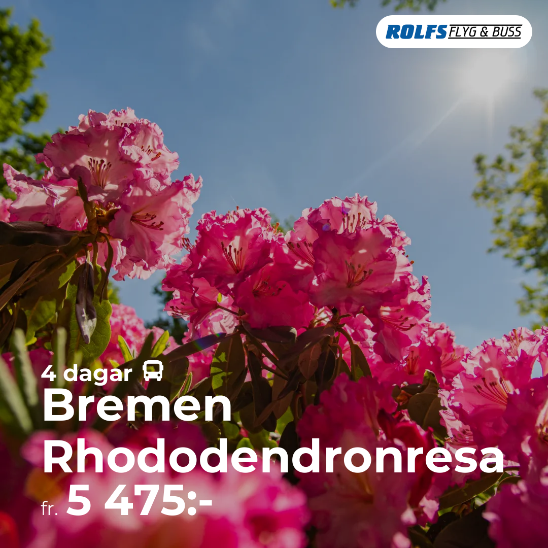 Bremen Rhododendronresa