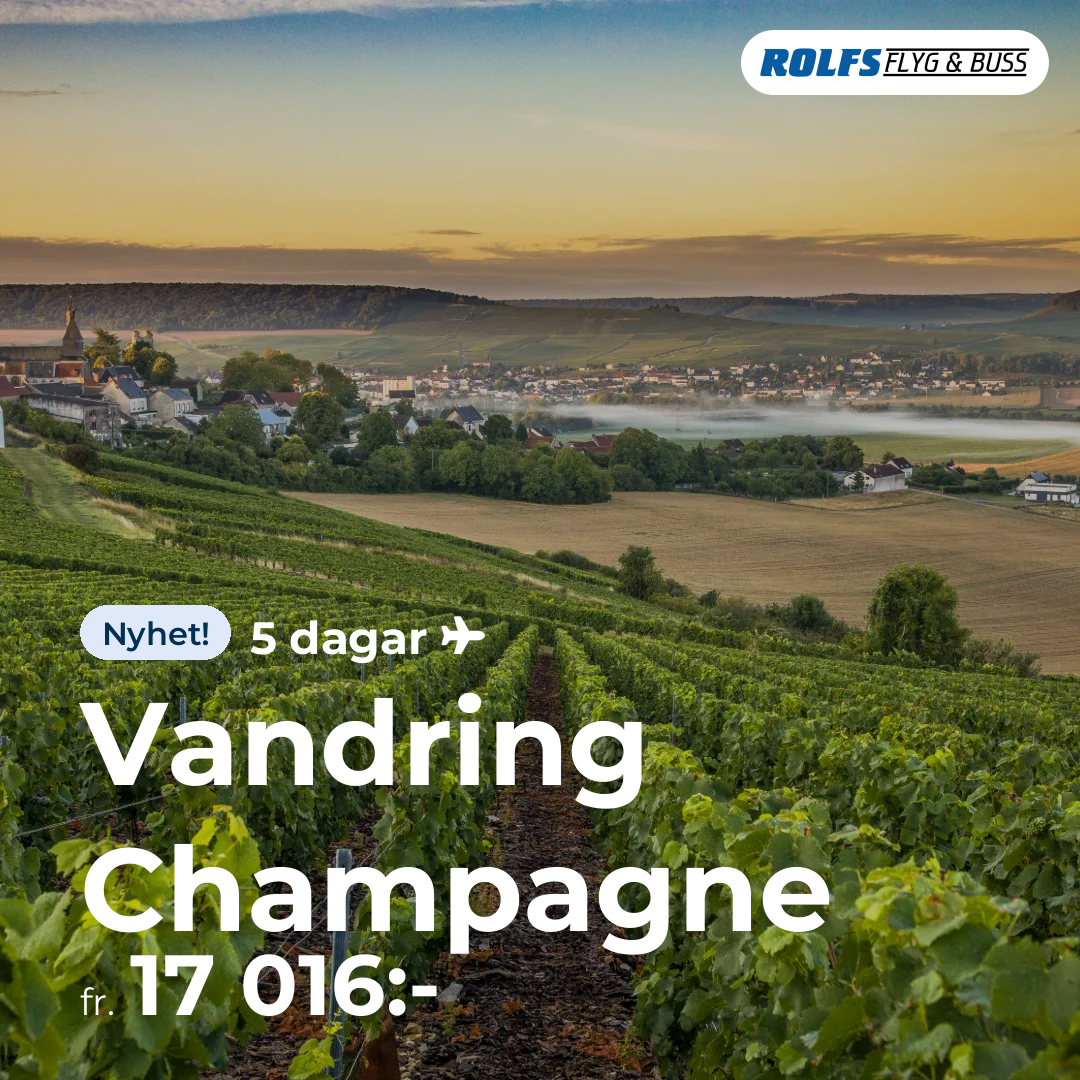 Vandring Champagne