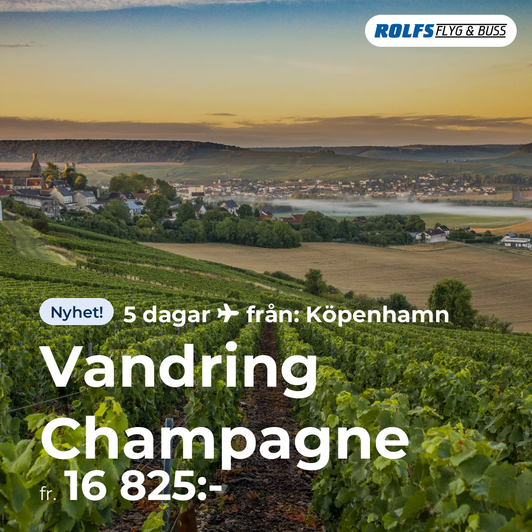 Vandring Champagne
