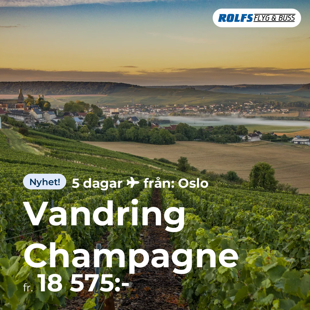 Vandring Champagne