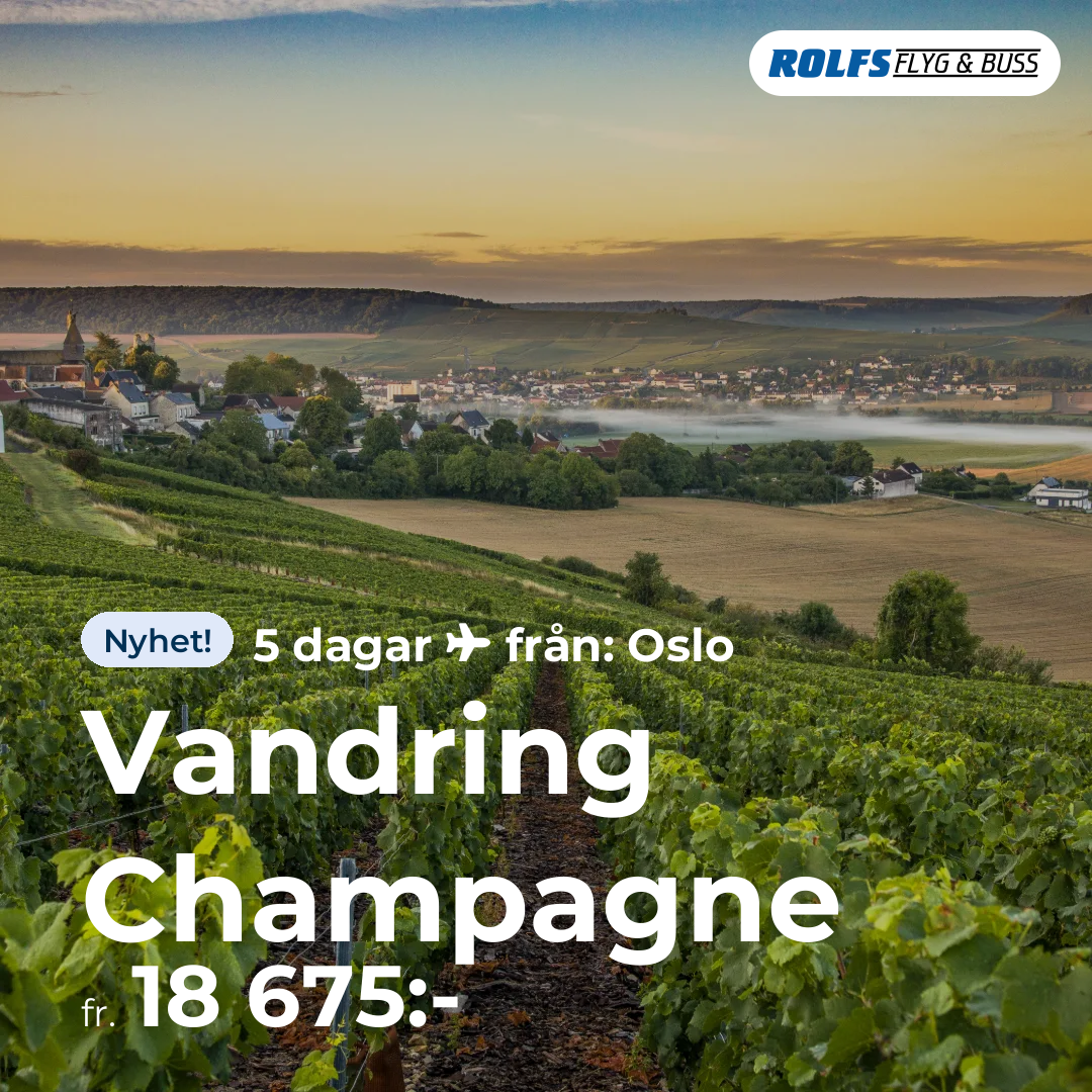 Vandring Champagne